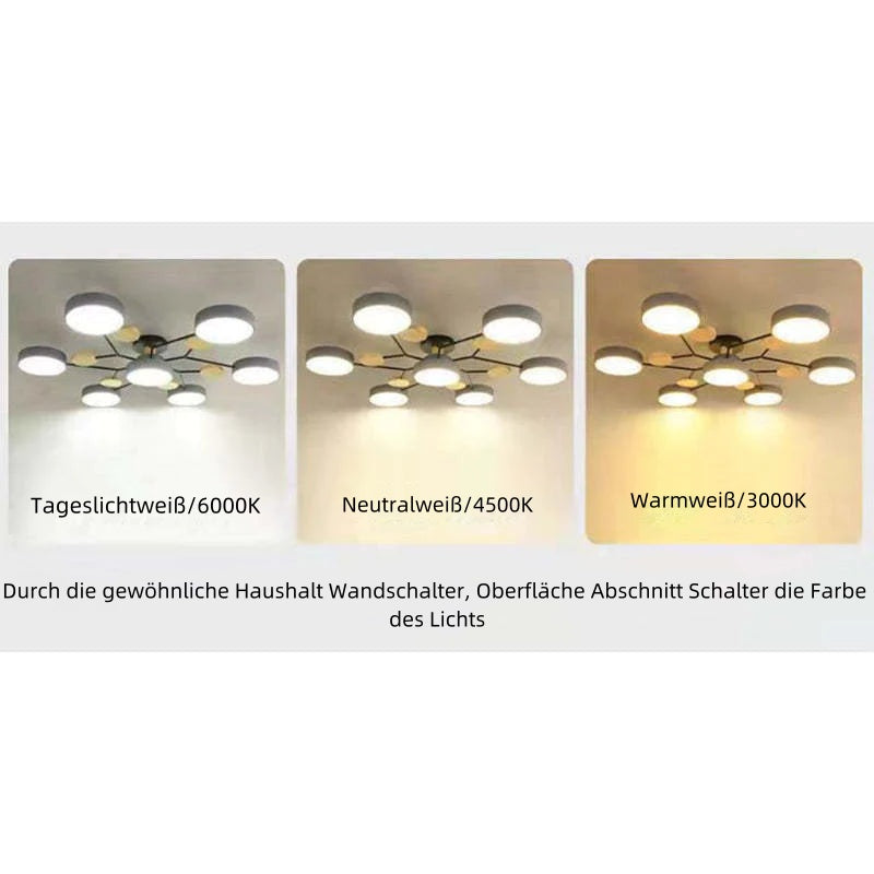 Veyden Produktbild