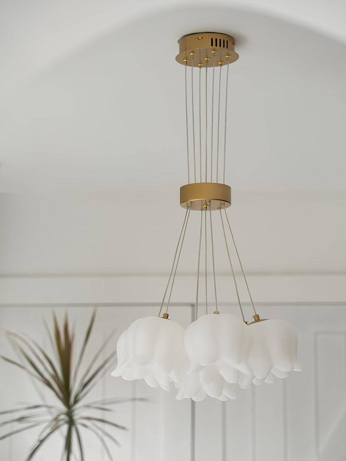 Veyden Produktbild