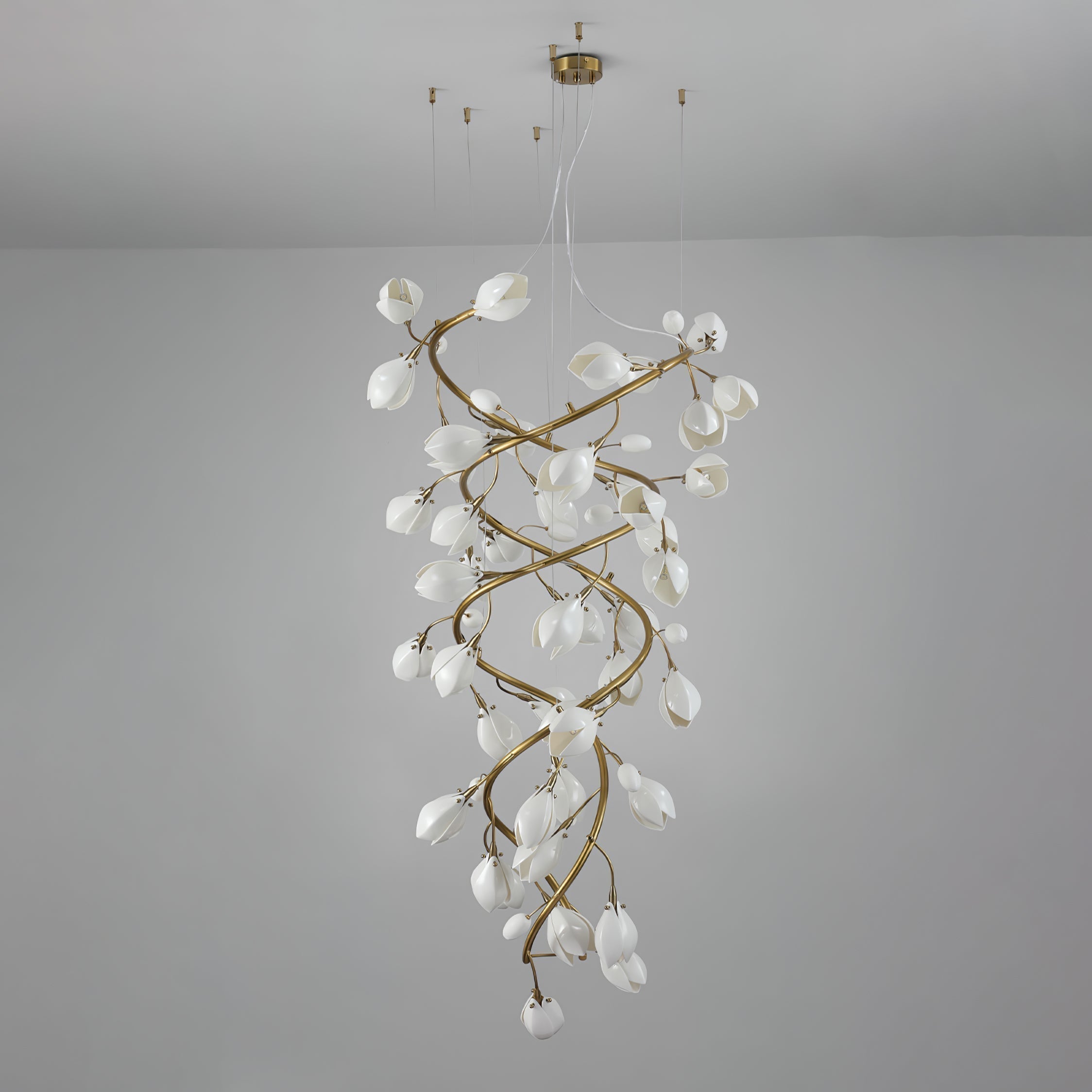 Veyden Produktbild