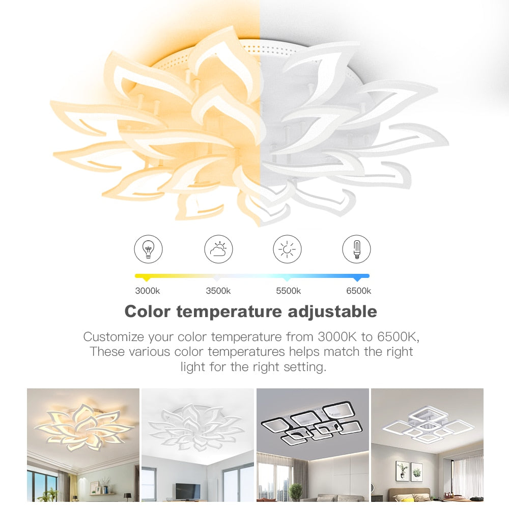 Veyden Produktbild