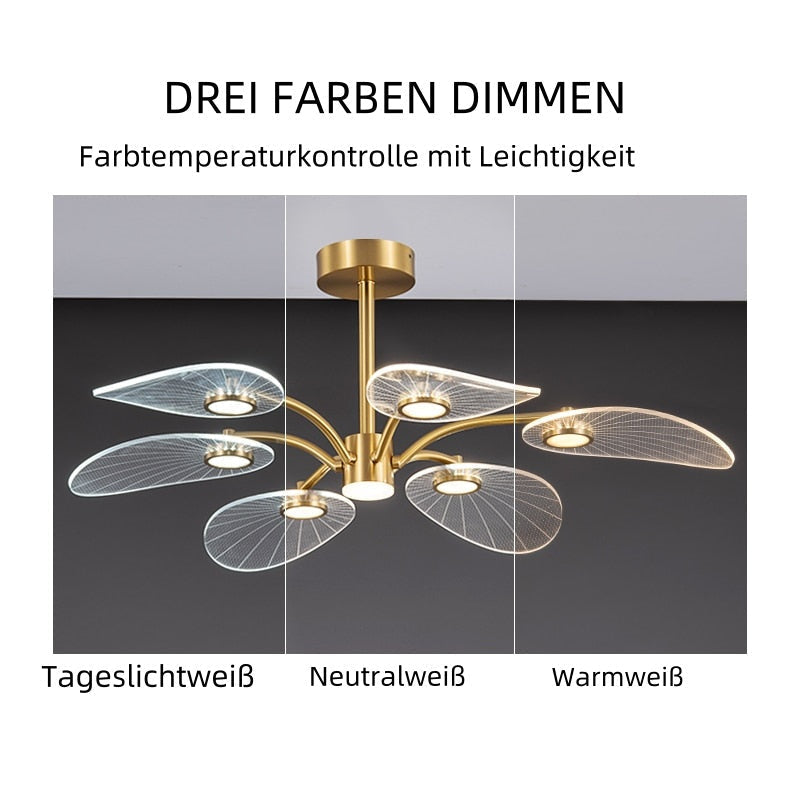 Veyden Produktbild