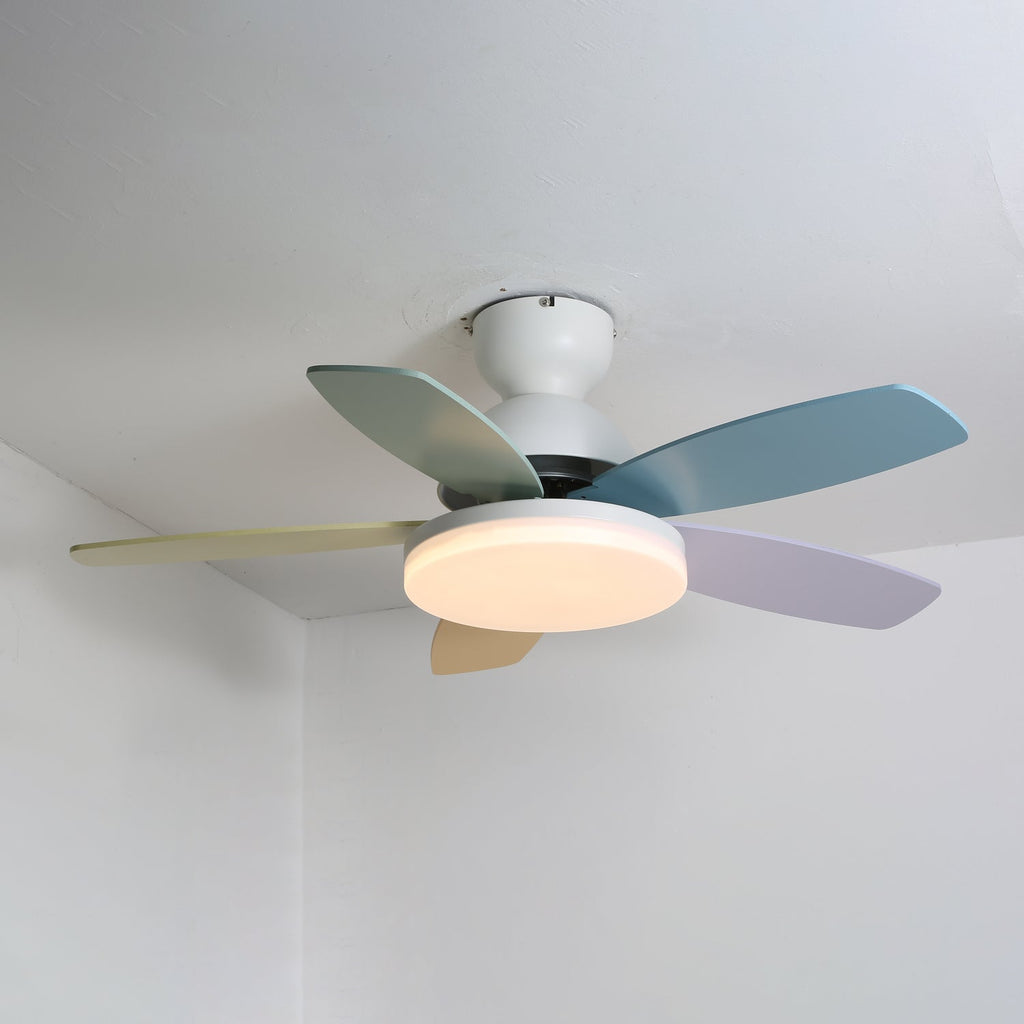 Veyden Produktbild