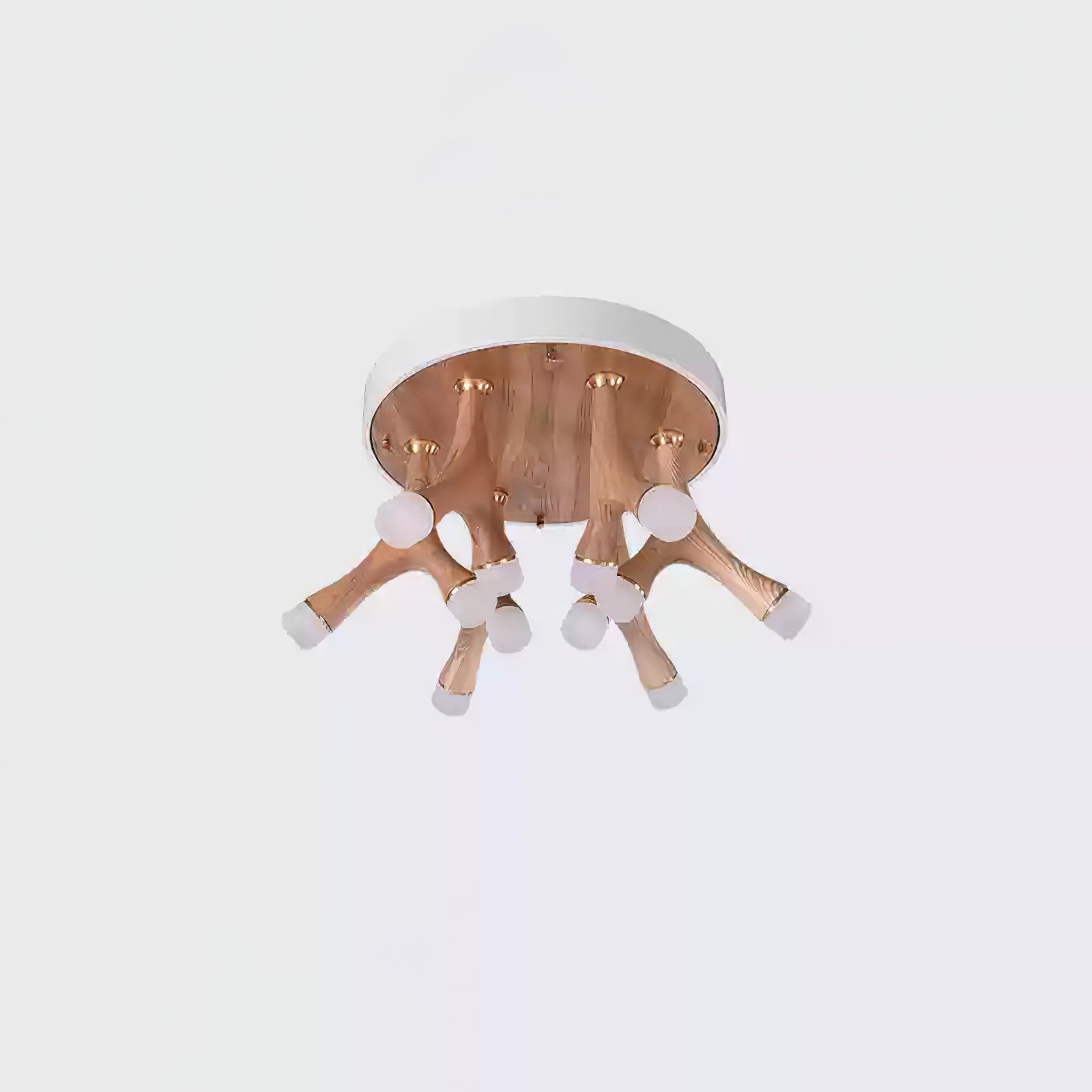 Veyden Produktbild