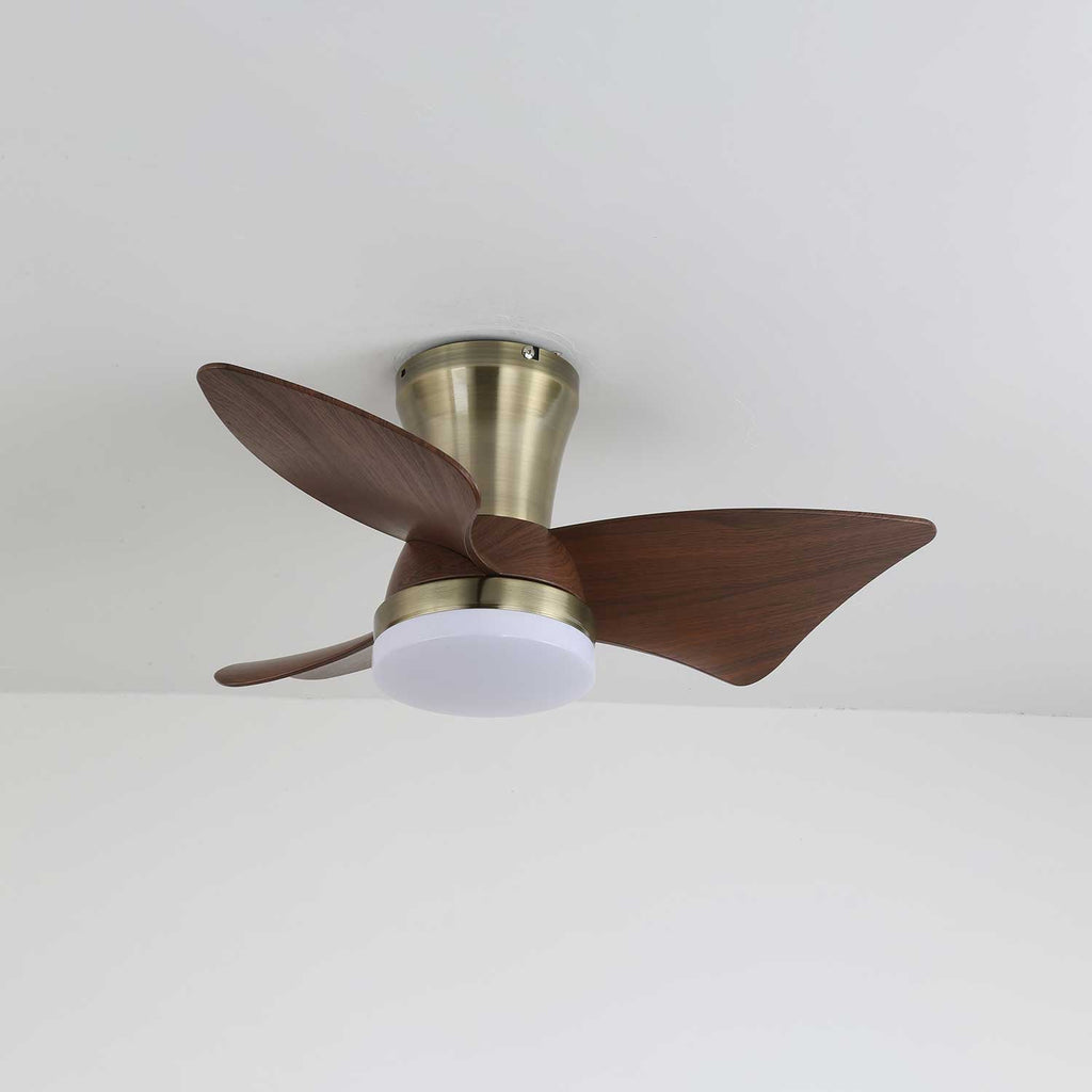 Veyden Produktbild